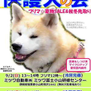 トレーラーハウス譲渡会 犬 島忠茅ヶ崎店 Adoption Park