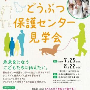 動物保護センター見学会 Adoption Park