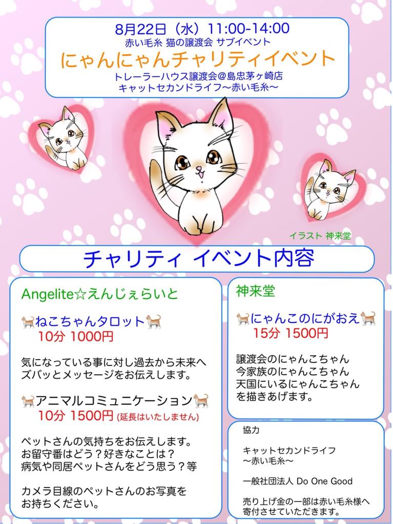 トレーラーハウス譲渡会 猫 ワークショップ 島忠茅ヶ崎店 Adoption Park