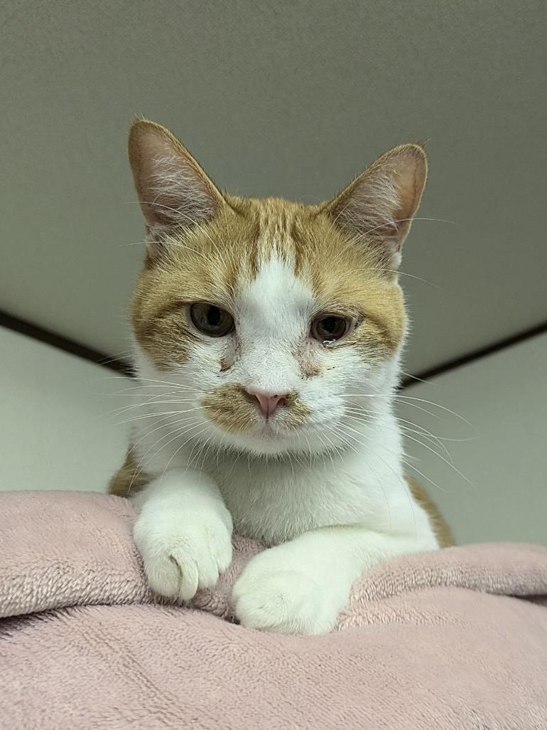 2048